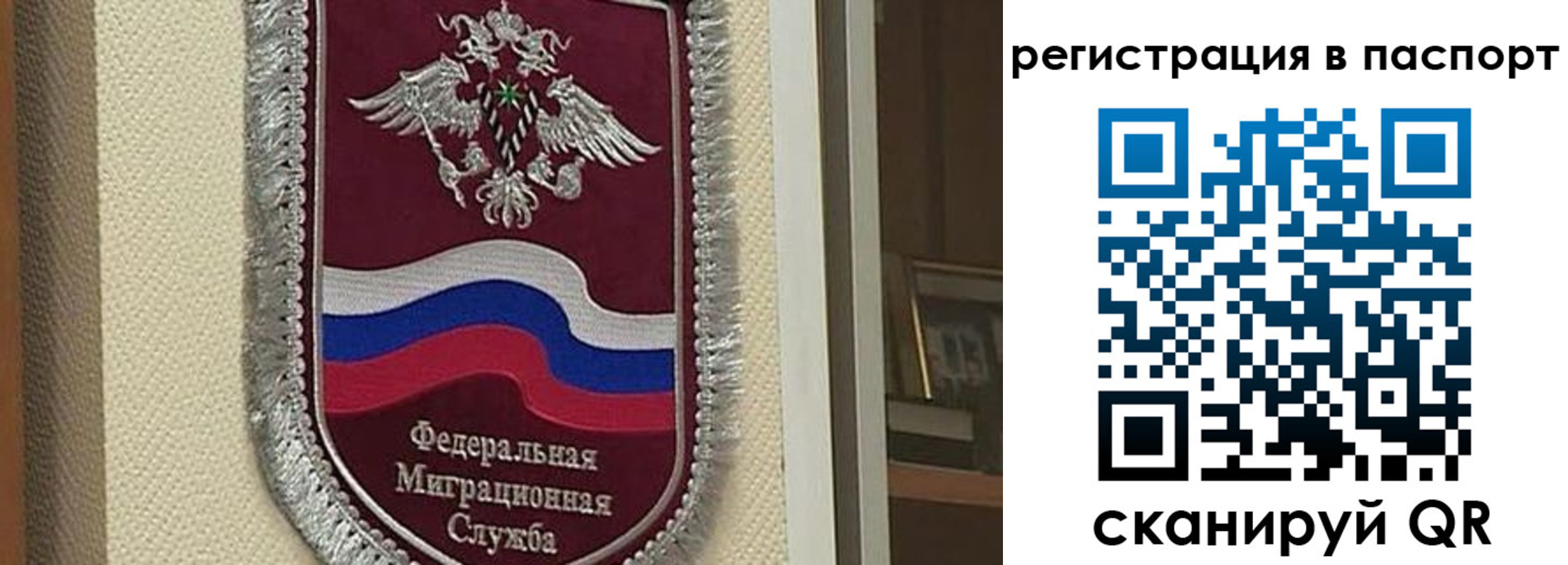 прописка законно в Ростовской области